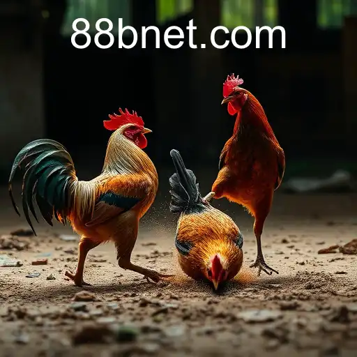 Understanding Online Sabong: The Rise and Role of 88b PH Login